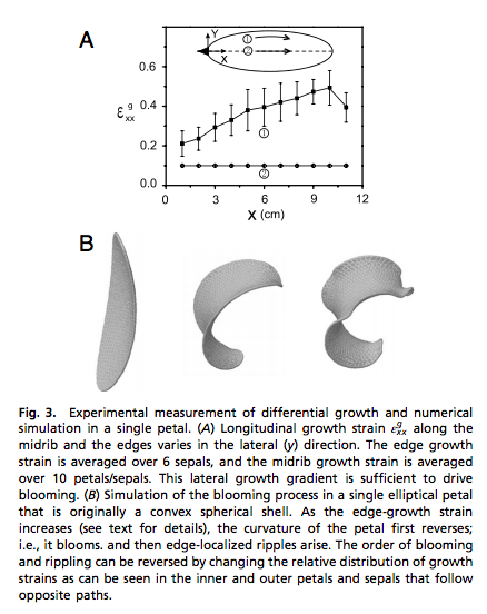 from Liang and Mahadevan (2011) 