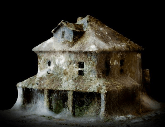 The incredible mould-as-art of Daniele Del Nero. The UK housing stock is in desperate need of renewal. 